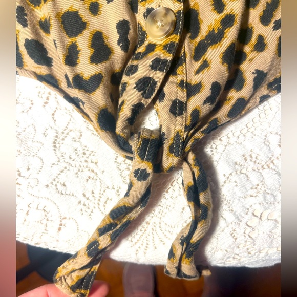 Express - Picture 7 of 7